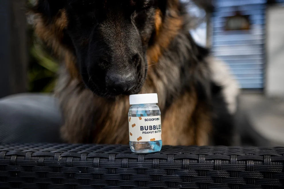Scoop Dog - PEANUT BUTTER | Dog Bubbles