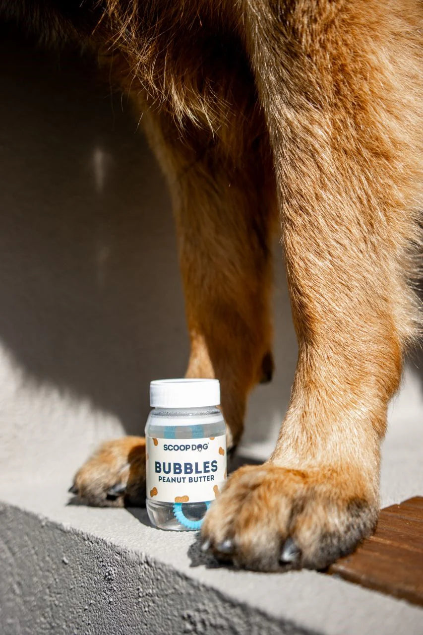 Scoop Dog - PEANUT BUTTER | Dog Bubbles