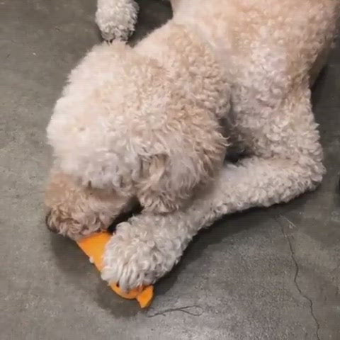 SAUSAGE